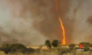 Tornado de fogo de 30 metros de altura é gravado na Austrália