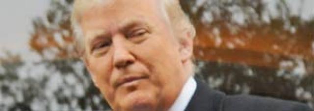 Donald Trump construirá maior centro empresarial do Brasil