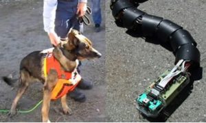 Cachorro e cobra robô vão salvar vidas em terremotos e soterramentos Cachorro e cobra robô vão salvar vidas em terremotos e soterramentos