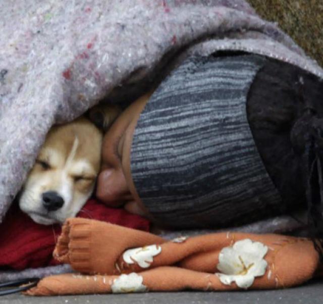 Internauta ajuda a aquecer cães e moradores de rua nesse frio terrível