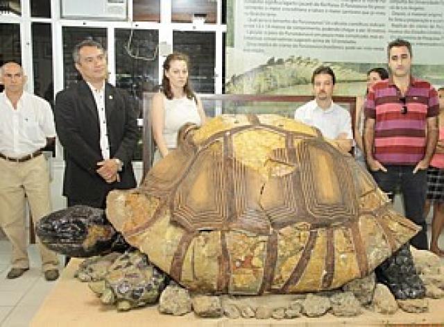 Fóssil de jabuti de 8 milhões de anos é apresentado por universidade do Acre