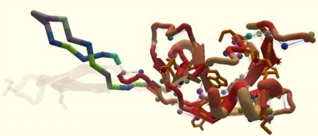 Investigadores conseguem criar rostos tridimensionais a partir do ADN