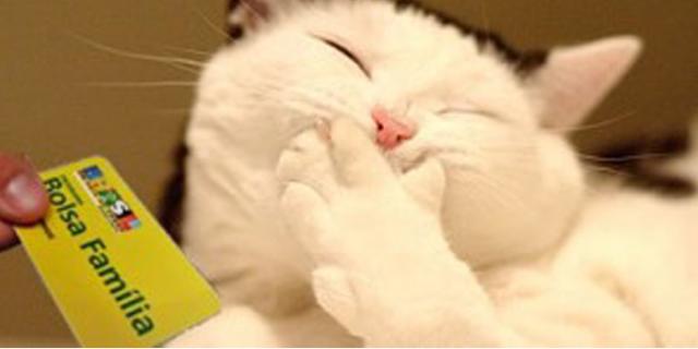 Gato recebe por sete meses benefício do Bolsa Família