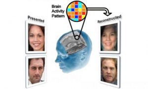 Cientistas criam tecnologia que recria rostos a partir da sua mente