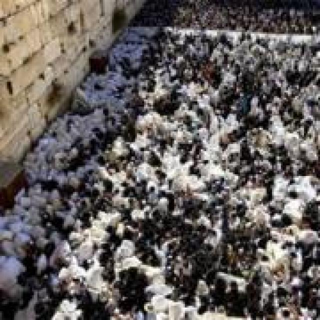 Milhares participaram  da Benção Sacerdotal em Jerusalém