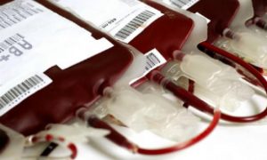 Cientistas querem começar a testar sangue artificial em humanos; entenda