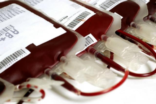 Cientistas querem começar a testar sangue artificial em humanos; entenda