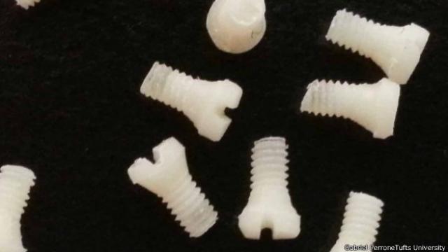 Cientistas desenvolvem parafusos de seda para tratar fraturas