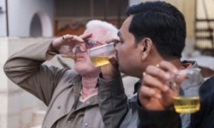 Líderes hindus ensinam que beber urina de vaca pode curar doenças