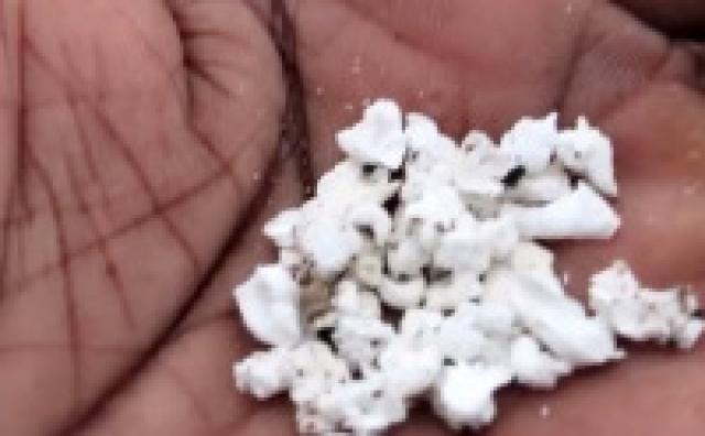 Pastor testemunha que maná ainda cai em regiões da África; Universidade fez análise do material e at