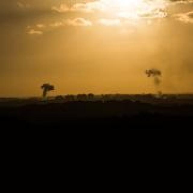 Grupos Terroristas Continuam Atacando Israel Sem Cessar