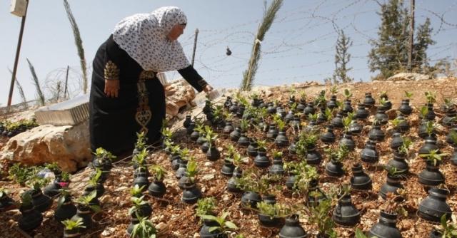 Palestinos usam cápsulas de bombas de gás lacrimogêneo para criar jardim inusitado