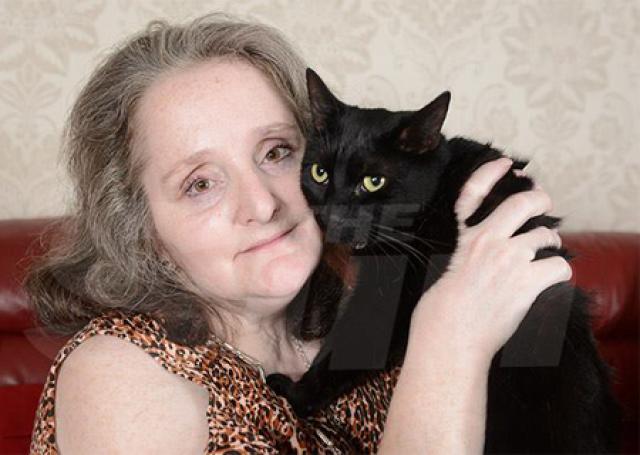 Gato chama vizinho e salva dona em coma