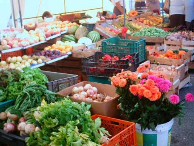 Projeto lança feira para incentivar a agricultura familiar cearense