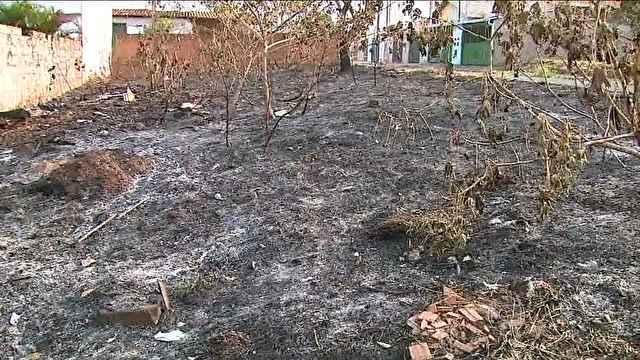 Pesquisa aponta como queimadas reduzem as chuvas durante a seca