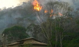 Bombeiros aumentam efetivo para controlar incêndio na região serrana do Rio