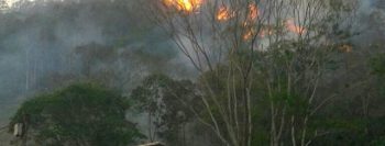 Bombeiros aumentam efetivo para controlar incêndio na região serrana do Rio