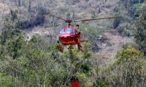 Incêndios, seca e falta de água preocupam cientistas brasileiros