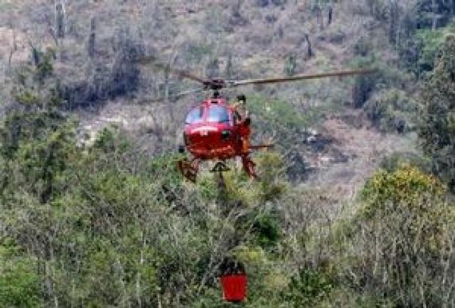 Incêndios, seca e falta de água preocupam cientistas brasileiros