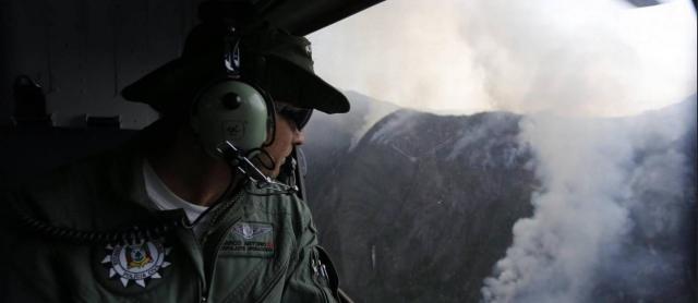 Fogo está perto de área com espécie em extinção