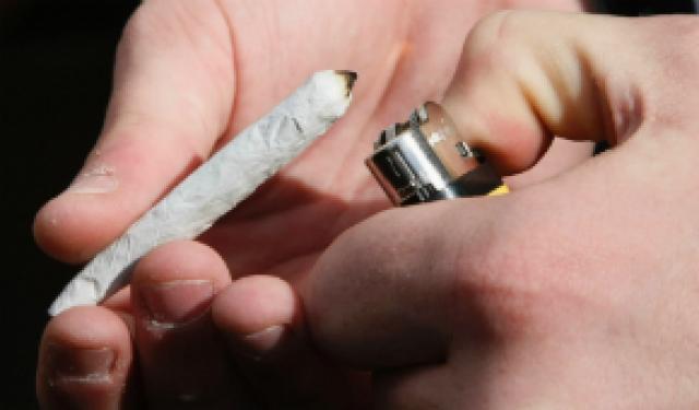 Uso regular de maconha diminui o tamanho do cérebro, diz pesquisa