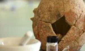 Descoberto azeite de olive de 8.000 anos em Israel