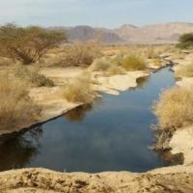Acidente ecológico em região bíblica no sul de Israel