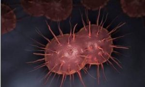 Bactérias resistentes a antibióticos já são “ameaça global” e podem matar até 10 milhões de pessoas Bactérias resistentes a antibióticos já são “ameaça global” e podem matar até 10 milhões de pessoas