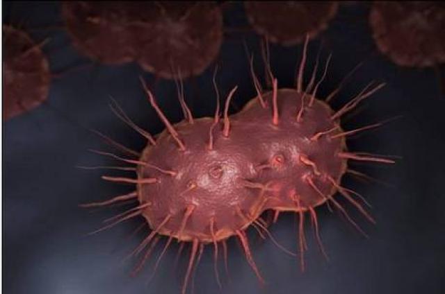 Bactérias resistentes a antibióticos já são “ameaça global” e podem matar até 10 milhões de pessoas