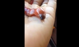 Vídeo mostra verme infernal lambendo uma mão
