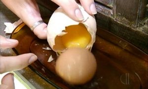 Galinha põe ovos gigantes com outro dentro e especialista explica fenômeno