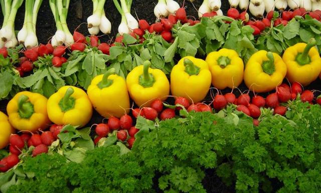 Butão vai ser o primeiro país do mundo a permitir somente agricultura orgânica
