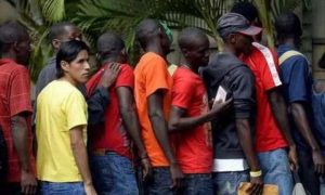 Governo do Acre surpreende SP com envio de haitianos Governo do Acre surpreende SP com envio de haitianos