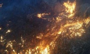 24 HORAS DE CALOR INTENSO E CHUVA DE AREIA EM ISRAEL