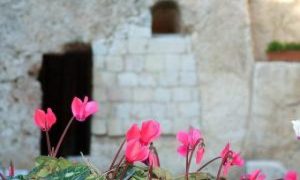 O Jardim do Túmulo em Jerusalém O Jardim do Túmulo em Jerusalém