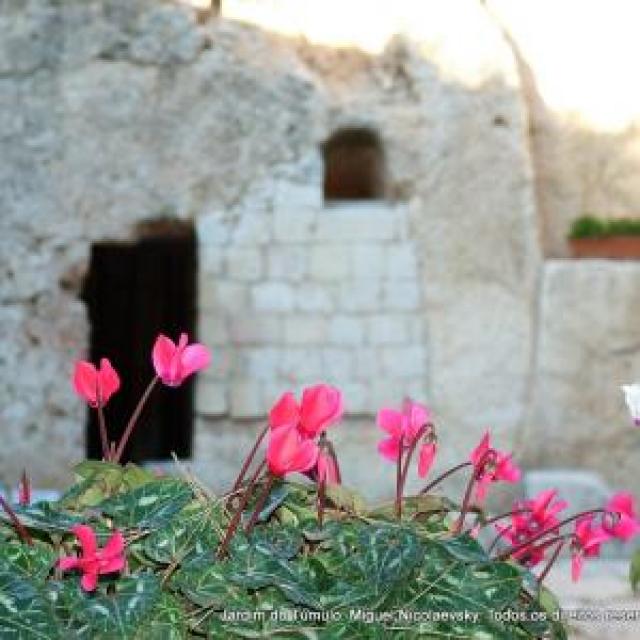 O Jardim do Túmulo em Jerusalém