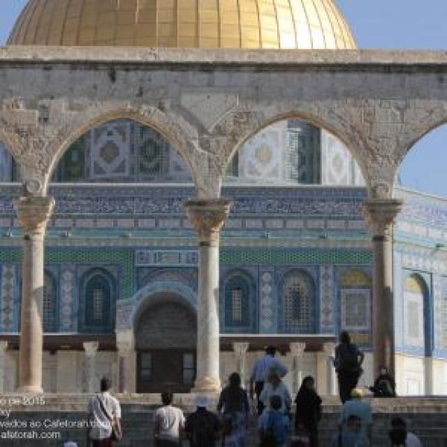 T’sha be’Av e a Violência Palestina