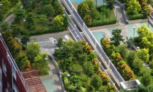 Recife Aprova Lei Que Torna Obrigatórias As Coberturas Verdes Em Edifícios Com Mais De 4 Pavimentos Recife Aprova Lei Que Torna Obrigatórias As Coberturas Verdes Em Edifícios Com Mais De 4 Pavimentos