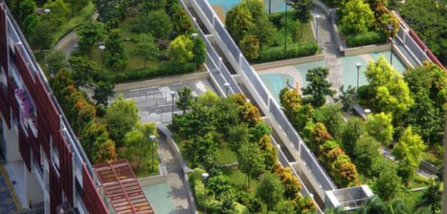 Recife Aprova Lei Que Torna Obrigatórias As Coberturas Verdes Em Edifícios Com Mais De 4 Pavimentos