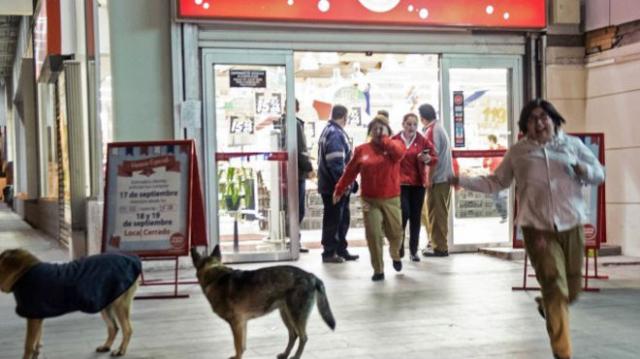 Por que fortes terremotos são menos mortais no Chile do que em outros países?