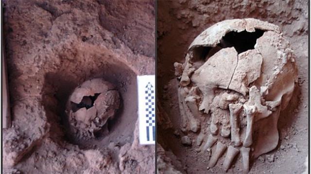 Crânio achado enterrado revela que decapitação mais antiga das Américas ocorreu no Brasil