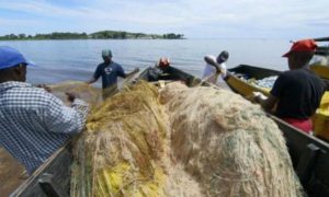 Como pescadora saiu do nada para criar ‘império’