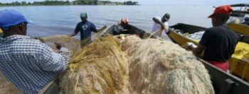 Como pescadora saiu do nada para criar ‘império’