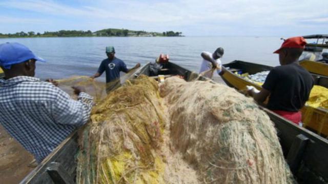 Como pescadora saiu do nada para criar ‘império’