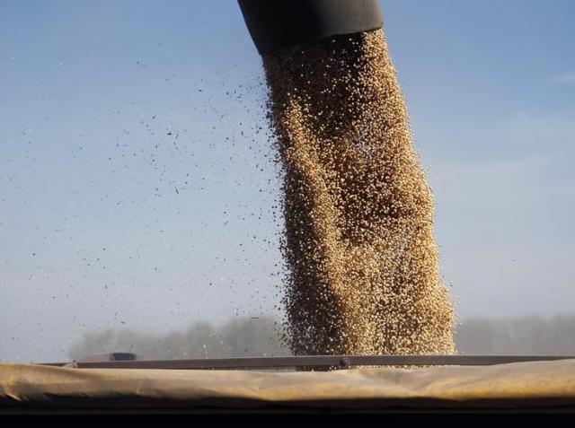 Chuvas escassas e irregulares reduzem potencial da soja em MT e GO, diz AgRural