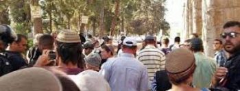 Grande tumulto no monte do templo em Jerusalém neste domingo