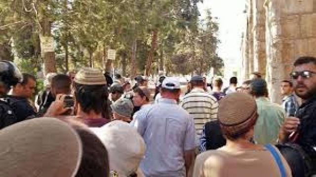 Grande tumulto no monte do templo em Jerusalém neste domingo