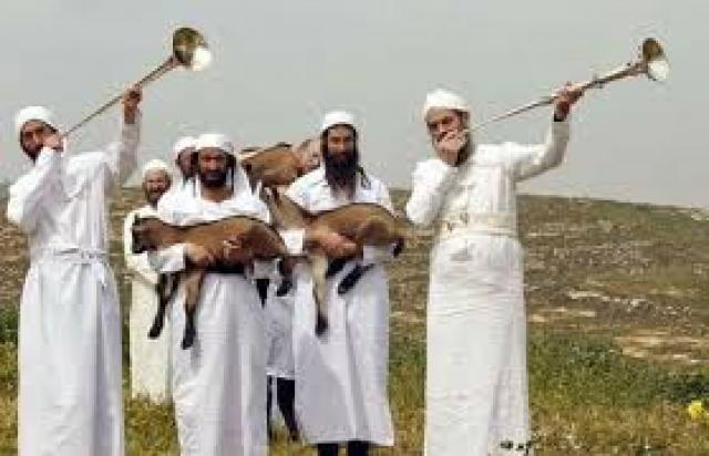 Judeus voltam a fazer sacrifícios de animais após 2000 anos