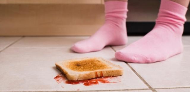 Clique Ciência: comida que cai no chão pode ser salva em cinco segundos?