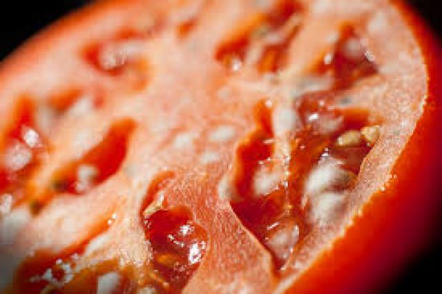 Japoneses criam dispositivo que identifica alimentos estragados